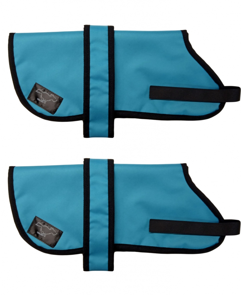 Personalised discount dog jackets