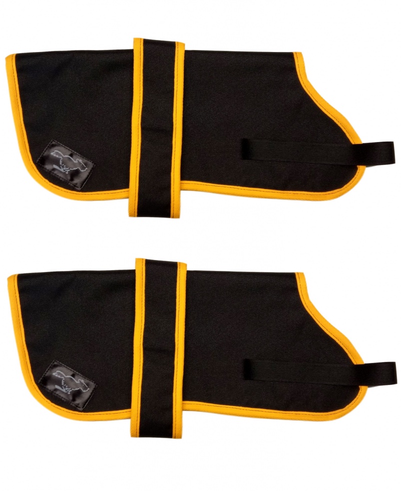 Yellow dog coats hotsell